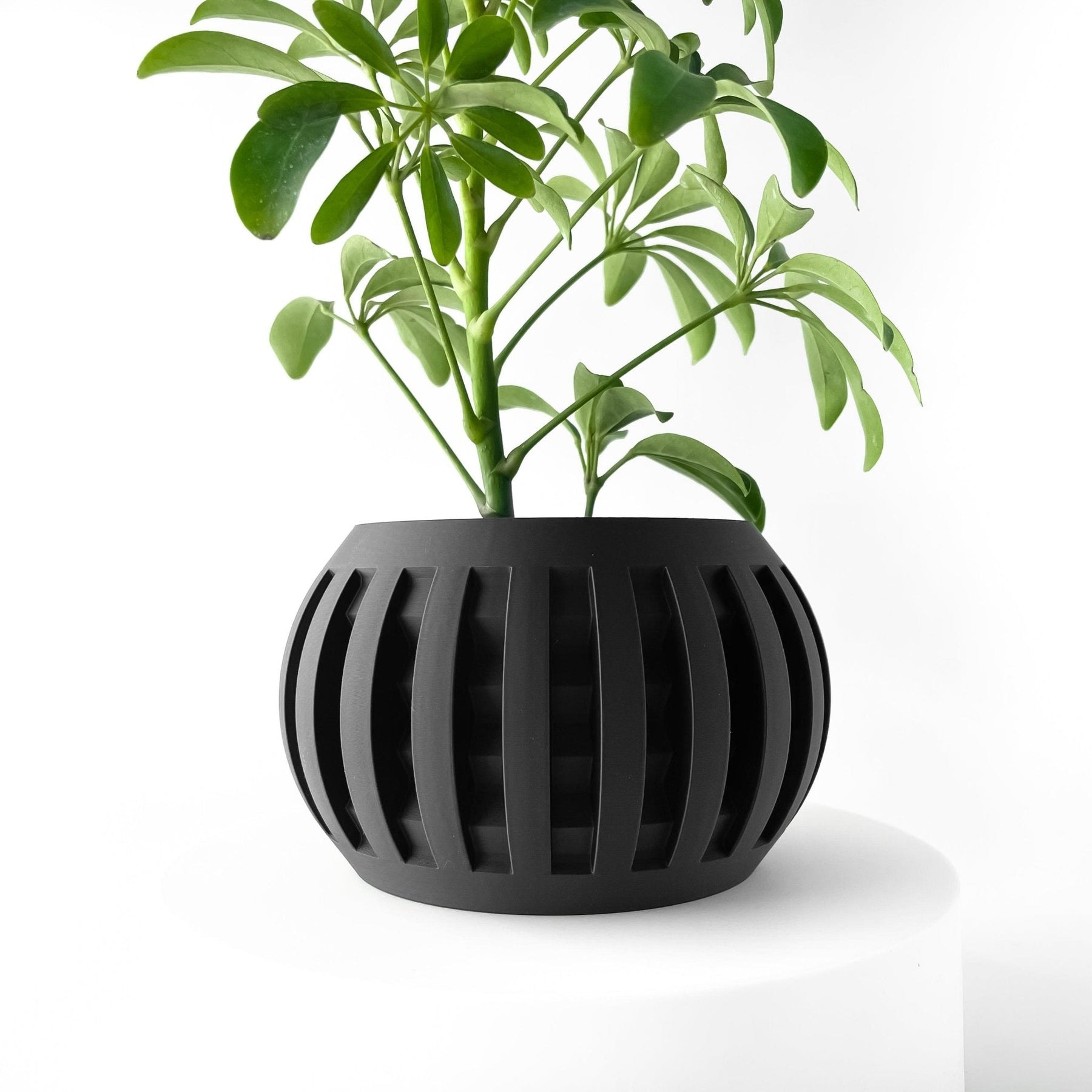 Vaso Decorativo Amada – Design Geométrico Contemporâneo Plantas de Interior